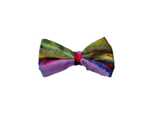 Load image into Gallery viewer, Silk Ready Tied Bow Tie
